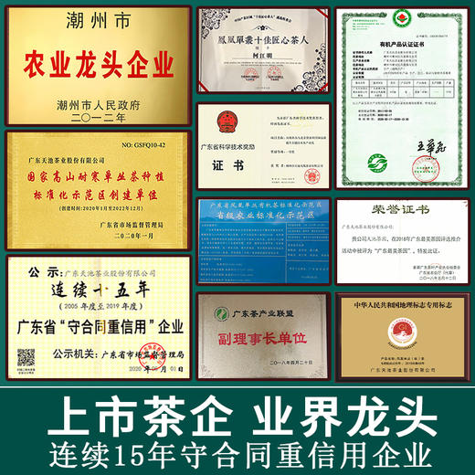 天池单丛名茶宋种 凤凰单丛茶 特级珍藏100克罐装 商品图4