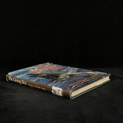 海洋生物图解百科全书 数百幅插图 精装大16开 商品图1