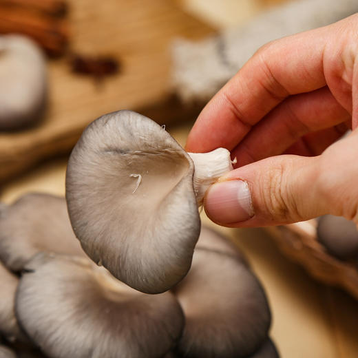 有机平菇（姬菇）150g 商品图4