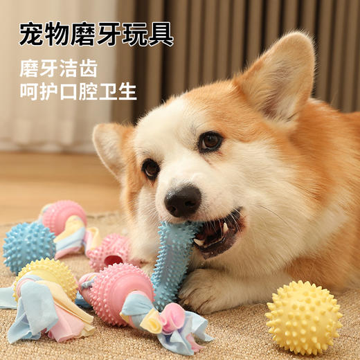 【宠物用品】狗狗自嗨磨牙宠物球形玩具 商品图0