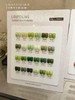 【秒杀价】24色BV奶油绿 商品缩略图2