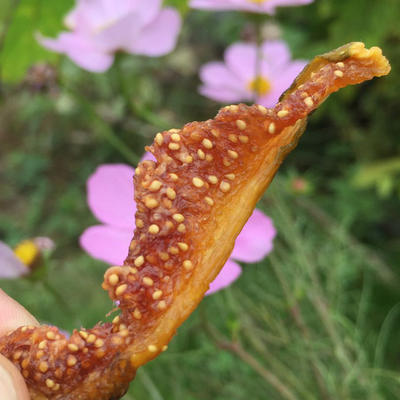 如是严选无花果干四川特产阆优果自然无尘烘干原味无添加即食零食 商品图1