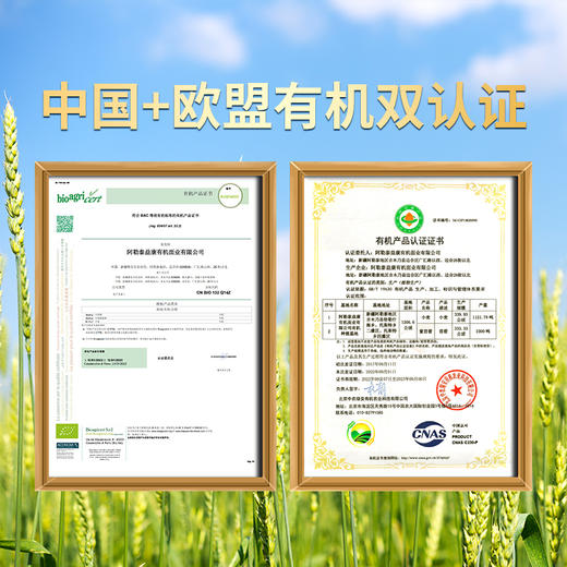 新疆有机拉条子 圆条拉面炒面拌面劲道筋道不坨390g 商品图6