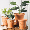 浮雕红陶花盆 吸水透气泥陶盆庭院绿植花卉国际盆 商品缩略图9