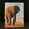 大象图集 约百幅彩色插图 精装大16开 商品缩略图0