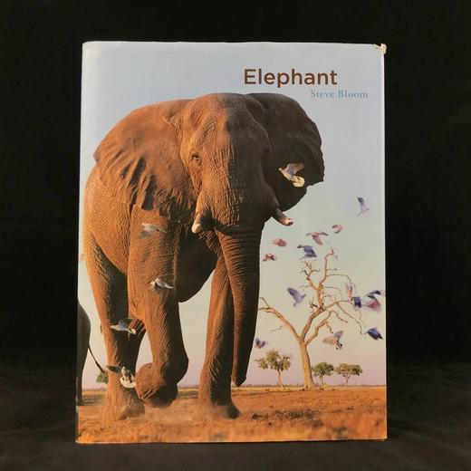 大象图集 约百幅彩色插图 精装大16开 商品图0