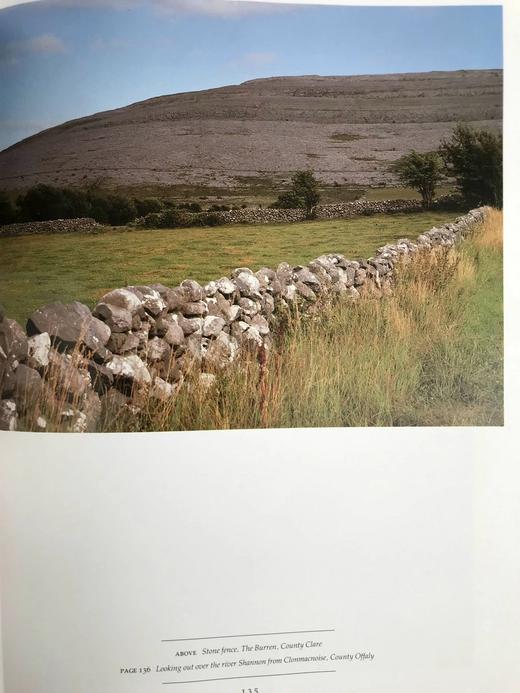 爱尔兰传统图集 数百幅插图 精装大16开 商品图10