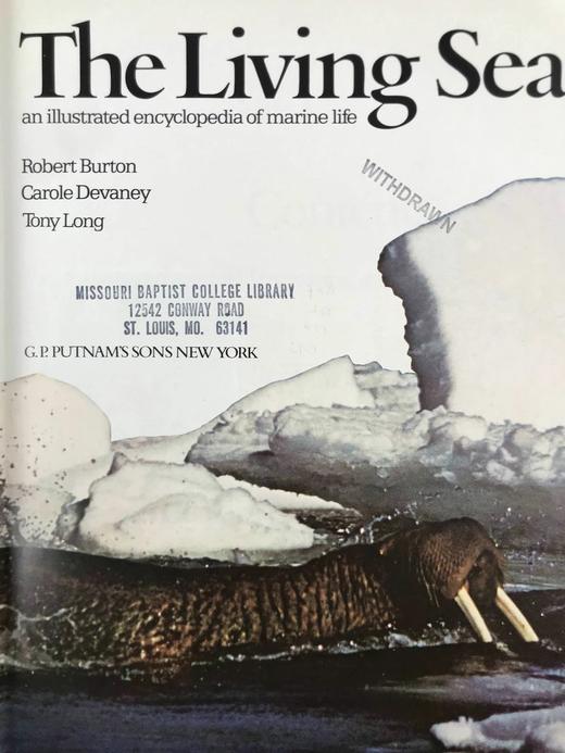 海洋生物图解百科全书 数百幅插图 精装大16开 商品图3