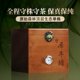 春茶预售【犀牛塘单株】茶农联合出品，一树一成品纯料至尊升级包装为500克更具收藏与送礼价值