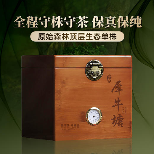 春茶预售【犀牛塘单株】茶农联合出品，一树一成品纯料至尊升级包装为500克更具收藏与送礼价值 商品图0