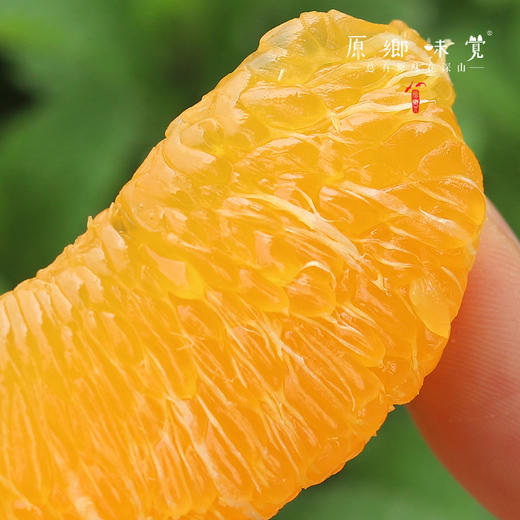 生态不知火丑橘（基地直发-顺丰包邮）| 5斤/箱，来自四川丹棱，生产者：刘德平【合作生产，公平贸易】 商品图3