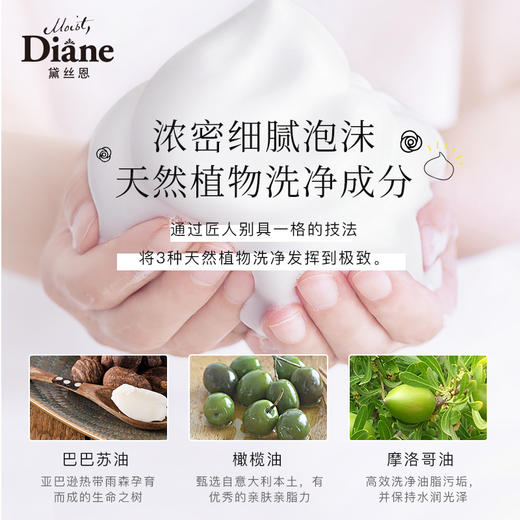 黛丝恩柏娜露Diane bonheur天然植物滋养洗发水护发素 商品图2