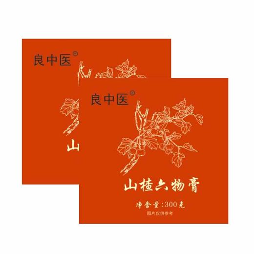 良中医山楂六物膏健康组 商品图1