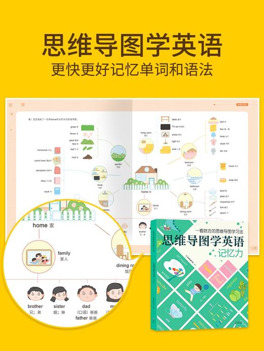 思维导图学科版 全4册 塑封 商品图3