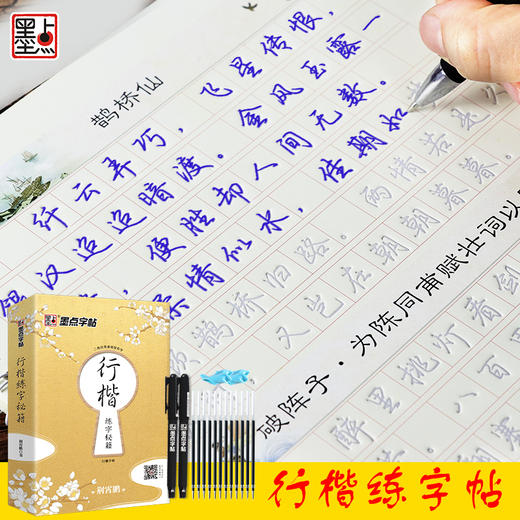 墨点字帖 行楷练字秘籍 行楷凹槽反复使用练字板速成钢笔练字行书字帖 商品图1