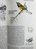 北美鸟类图鉴 数百幅彩色插图 精装16开 商品缩略图10