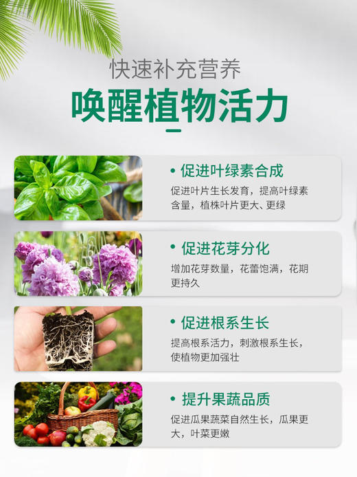 【进口奥绿肥 】缓释肥料 开花型 商品图6