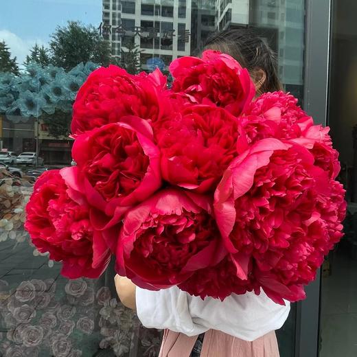 【预售！4.20起陆续发货】2026简小姐芍药季精选套餐【我扎根生长，也自然流淌 】 商品图5