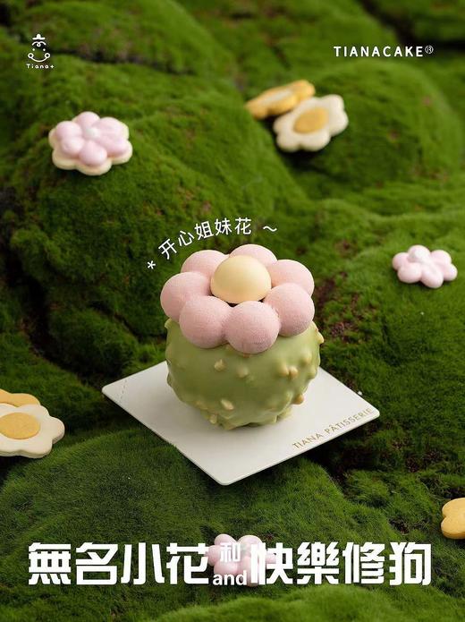 开心姐妹花 商品图0