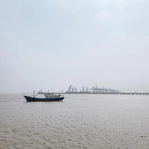 看海：漫步乍浦海滨栈道和海岸线，赏山海礁石，探寻江南水乡枫泾古镇（上海1天休闲活动） 商品图6