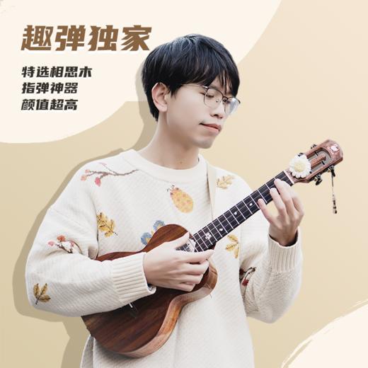 趣弹雪樱相思木全单尤克里里进阶琴 商品图0