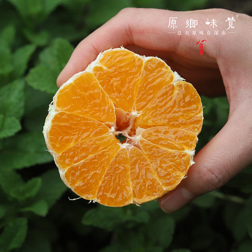 生态不知火丑橘（基地直发-顺丰包邮）| 5斤/箱，来自四川丹棱，生产者：刘德平【合作生产，公平贸易】 商品图2