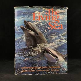 海洋生物图解百科全书 数百幅插图 精装大16开