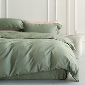 法国ELLE DECO 100S纯色刺绣四件套 正单全棉活性纯色100支新疆长绒棉全年适用