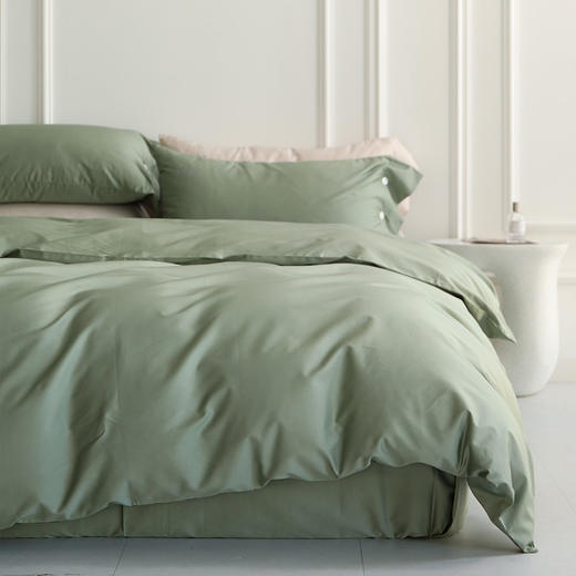 法国ELLE DECO 100S纯色刺绣四件套 正单全棉活性纯色100支新疆长绒棉全年适用 商品图0