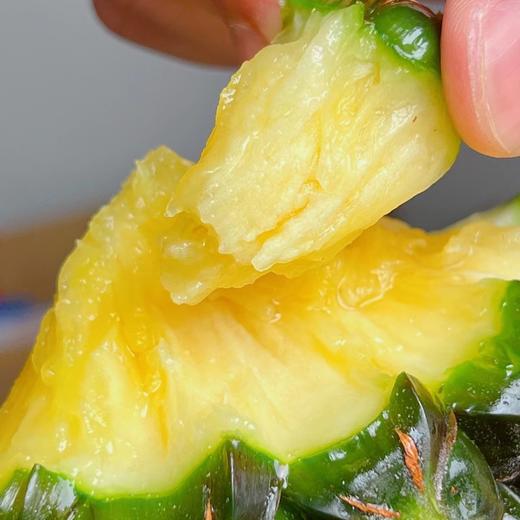 海南手撕凤梨 | 自然成熟，汁水饱满，相比其他凤梨来说甜度要好，比较稀有 商品图0