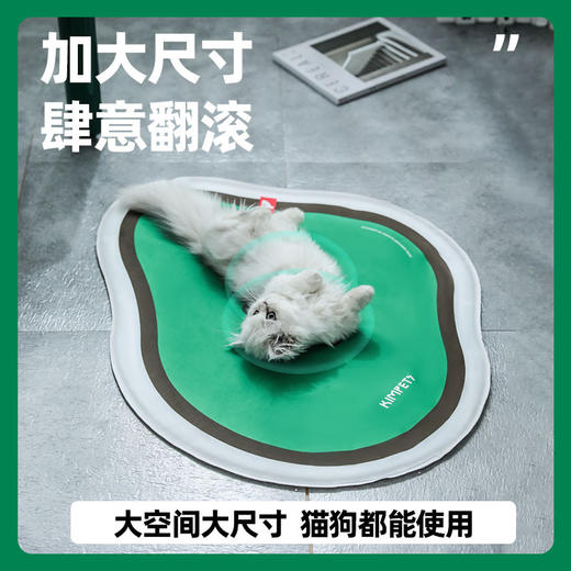 【宠物用品】宠物冰垫 商品图2