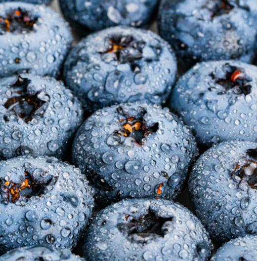 （桶装）开工福利，年度史低价！云南高原花香蓝莓 顺丰空运【抚仙湖核心产区】 商品图3