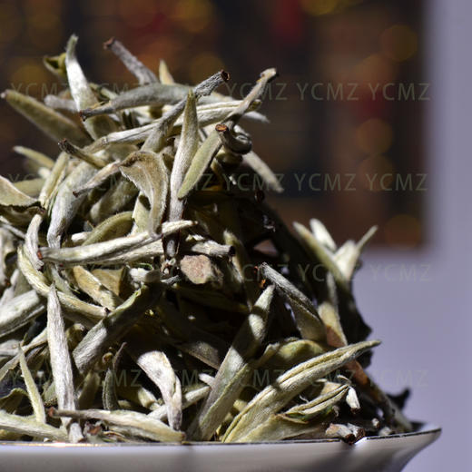 2025云茶盟主独品【勐库大白毫】连续八年制作 ，无一差评！单芽大白毫！白毫银针！一万两千颗芽头，才出来一公斤的至高等级！市面一泡难求！ 商品图1
