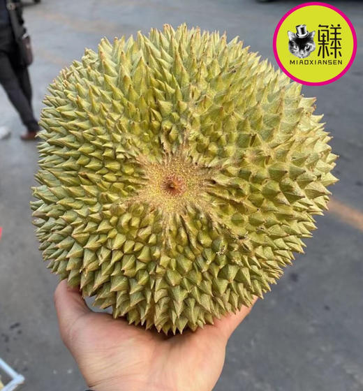 预定～新鲜【黑刺榴莲】泰国产区约2-2.3kg 商品图0