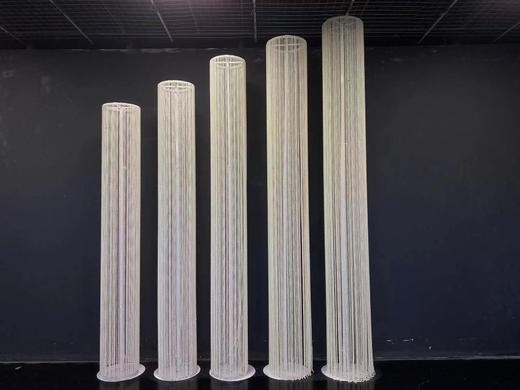 珍珠路引（运费自理） 商品图3