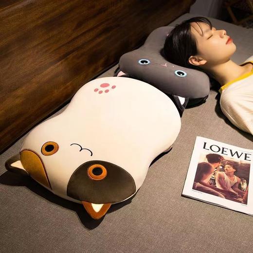 猫肚皮枕头套护颈椎枕芯记忆棉学生侧睡低枕单人宿舍柔软慢回弹 商品图0