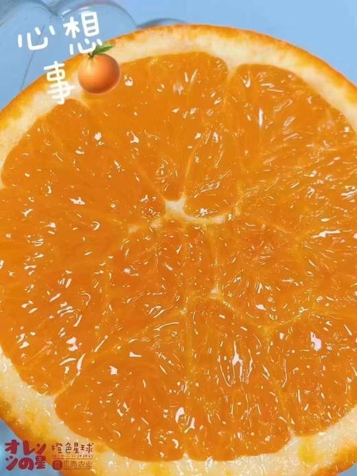 星球伦晚橙 |水果 商品图2