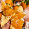 【好吃的品牌耙耙柑来喽】橘子味浓郁，纯甜（甜），水嫩多汁，明星爆款产品 商品缩略图2