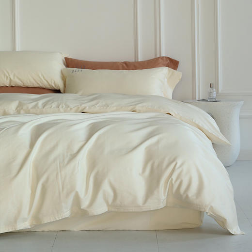 法国ELLE DECO 100S纯色刺绣四件套 正单全棉活性纯色100支新疆长绒棉全年适用 商品图3