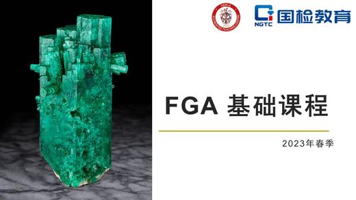 FGA基础课程-真题讲解 商品图0