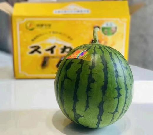 冰淇淋西瓜（2枚礼盒装） | 精品水果礼盒 商品图5