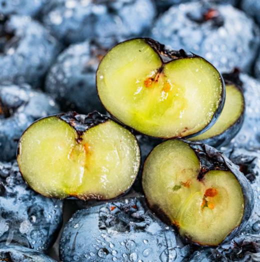 （桶装）开工福利，年度史低价！云南高原花香蓝莓 顺丰空运【抚仙湖核心产区】 商品图1