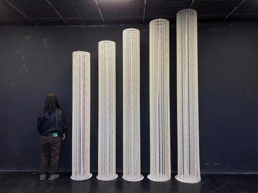 珍珠路引（运费自理） 商品图0