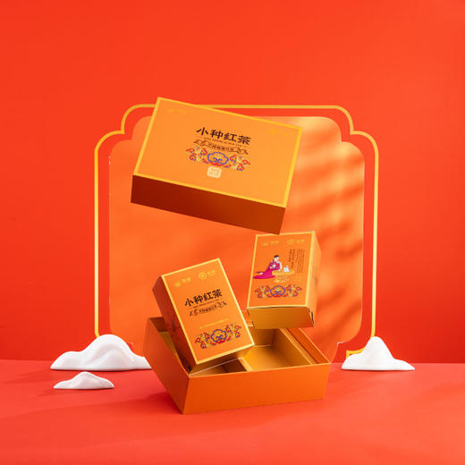 海堤 红茶新传奇 CTA6711小种红茶 200g 商品图1