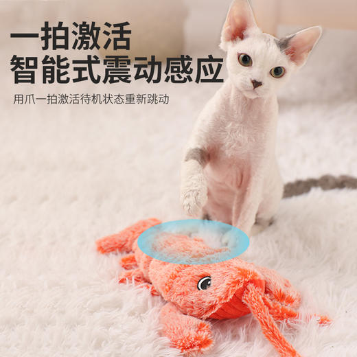 【宠物用品】-可充电跳跳虾宠物互动玩具 商品图2