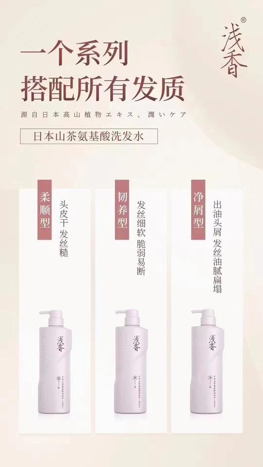 浅香山茶氨基酸洗发水/沐浴露768g、728g 128 商品图5