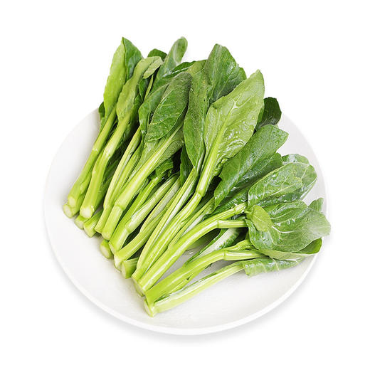 有机广东菜心500g 商品图1