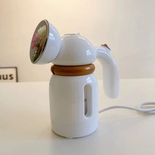 【应季好物】喵夫人手持挂烫机家用大蒸汽小型熨斗 商品图1