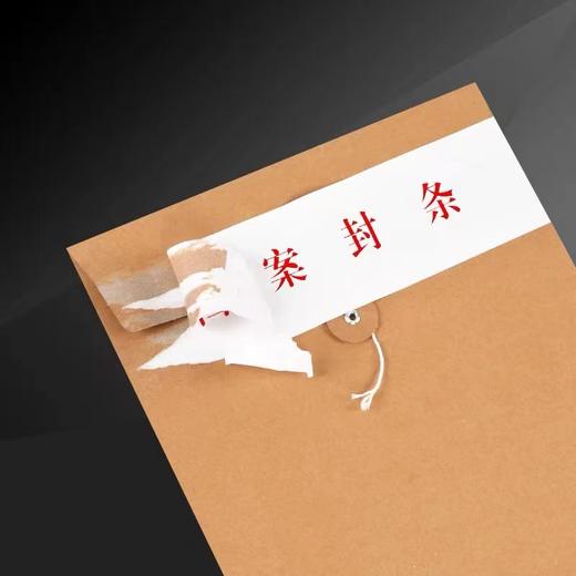 不干胶档案封条投标书密封条标签学生试卷学籍封条档案封条纸人事档案封条强粘力不干胶密封条1张 商品图1