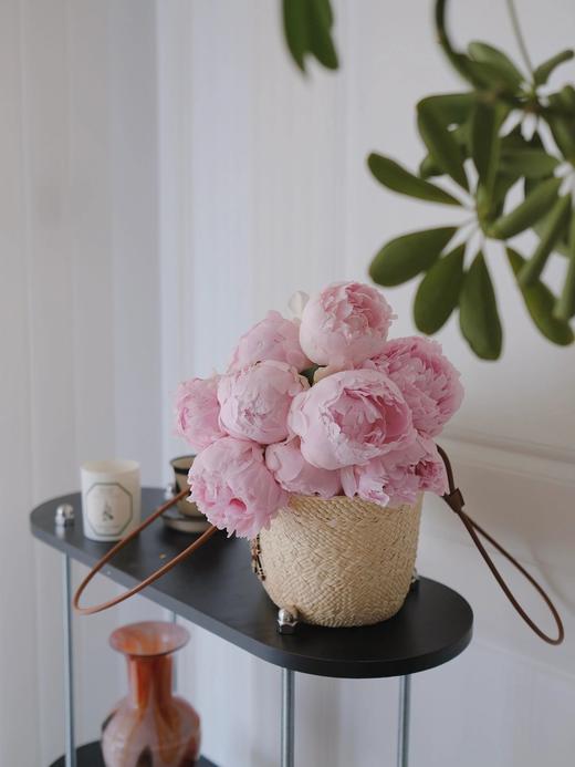 【预售！4.20起陆续发出】枕边语芍药【我可以每天在你身边醒来吗？】简小姐精超大花头 稀有少女粉 枕边语 2件包邮 顺丰空运 商品图9